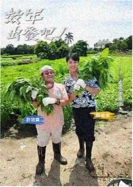 上架日历条目纪实综艺封面
